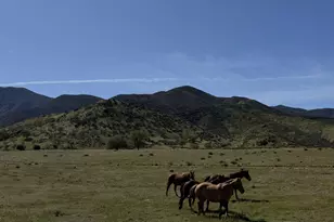 8300 Foothill Rd, New Cuyama, CA 93254 - Photo 22