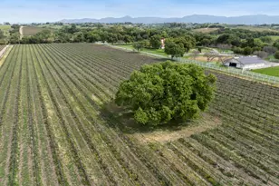 3173 Roblar Ave, Santa Ynez, CA 93460 - Photo 24