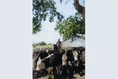 3173 Roblar Avenue, Santa Ynez, CA 93460 - Photo 36