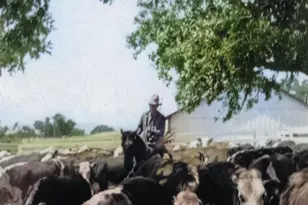 3173 Roblar Ave, Santa Ynez, CA 93460 - Photo 36