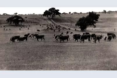 3173 Roblar Avenue, Santa Ynez, CA 93460 - Photo 34