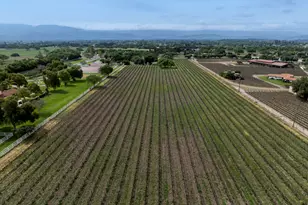 3173 Roblar Ave, Santa Ynez, CA 93460 - Photo 38