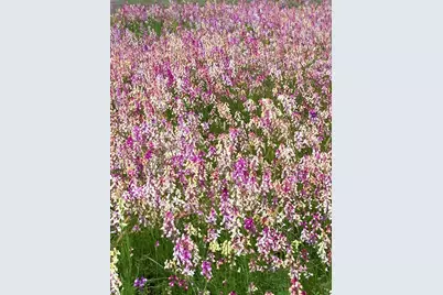 40 Bobcat Springs Road, Buellton, CA 93427 - Photo 34