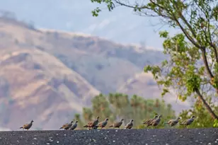 4600 Tim's Rd, Santa Ynez, CA 93460 - Photo 54