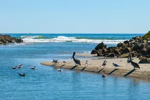 571 Sand Point Rd, Carpinteria, CA 93013 - Photo 18