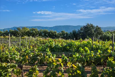 5445 Baseline Avenue, Santa Ynez, CA 93460 - Photo 44