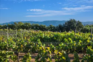 5445 Baseline Ave, Santa Ynez, CA 93460 - Photo 44