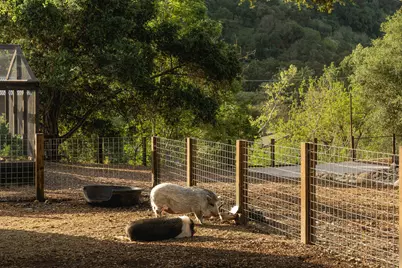 10802 Oak Knoll Road, Ojai, CA 93023 - Photo 30