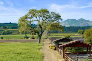 3325 Figueroa Mountain Rd, Los Olivos, CA 93460 - Photo 68