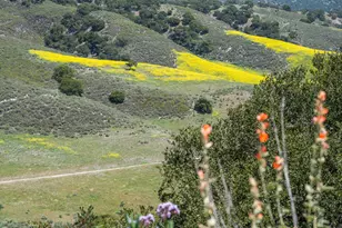 760 Falcon Ridge Ln, Buellton, CA 93427 - Photo 46