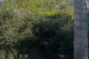 918 Crestwood Dr, Santa Barbara, CA 93105 - Photo 12