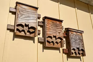 3226 Jalama Rd, Lompoc, CA 93436 - Photo 32