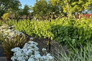 2124 Creekside Dr, Solvang, CA 93463 - Photo 6