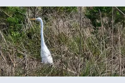 6180 Via Real #Unit 2, Carpinteria, CA 93013 - Photo 36