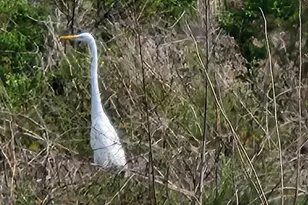 6180 Via Real, Carpinteria, CA 93013 - Photo 36