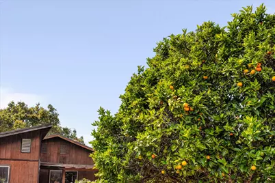 5534 Calle Ocho, Carpinteria, CA 93013 - Photo 22