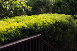 1811 Prospect Ave, Santa Barbara, CA 93103 - Photo 44