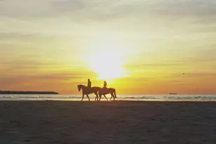 1312 Shoreline Dr, Santa Barbara, CA 93109 - Photo 62