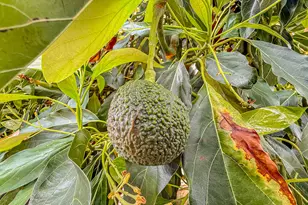 5377 Agana Dr, Santa Barbara, CA 93111 - Photo 16