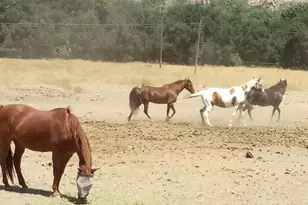 3750 Paradise Rd, Santa Barbara, CA 93105 - Photo 14