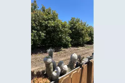 5750 Via Real #Unit 243, Carpinteria, CA 93013 - Photo 10