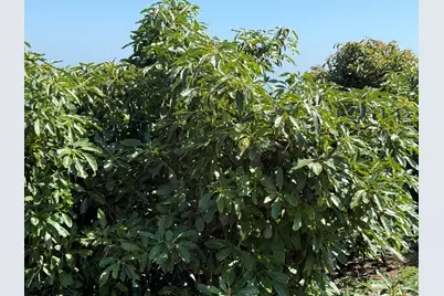 [Address not provided], Goleta, CA 93111 - Photo 30