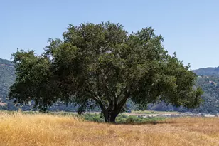 801 E Hwy 246, Solvang, CA 93463 - Photo 26