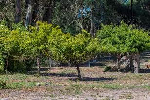 870 Lasalle Canyon Rd, Lompoc, CA 93436 - Photo 34