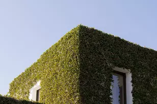 356 Woodley Rd, Montecito, CA 93108 - Photo 68