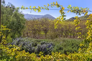 4620 Casitas Pass Rd, Ventura, CA 93001 - Photo 4