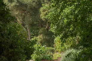1102 Plaza Del Monte, Santa Barbara, CA 93101 - Photo 36