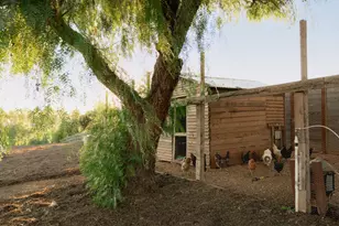 5501 Baseline Ave, Santa Ynez, CA 93460 - Photo 104