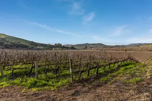 6855 Santa Rosa Rd, Buellton, CA 93427 - Photo 24