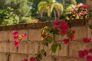 961 Camino Del Retiro, Santa Barbara, CA 93110 - Photo 28