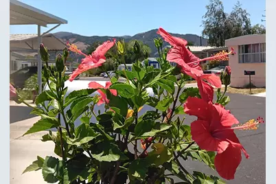 80 Zaca Street #Spc 34, Buellton, CA 93427 - Photo 18