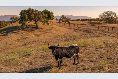 3110 Acampo Road, Los Olivos, CA 93441 - Photo 52