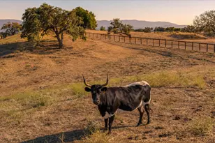 3110 Acampo Rd, Los Olivos, CA 93441 - Photo 52