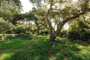 1175 E Mountain Dr, Santa Barbara, CA 93108 - Photo 22