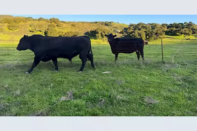 1701 W Hwy 246, Buellton, CA 93427 - Photo 16