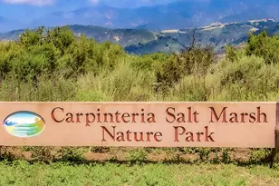 349 Ash Ave, Carpinteria, CA 93013 - Photo 38