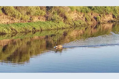 349 Ash Avenue #Spc 17, Carpinteria, CA 93013 - Photo 42