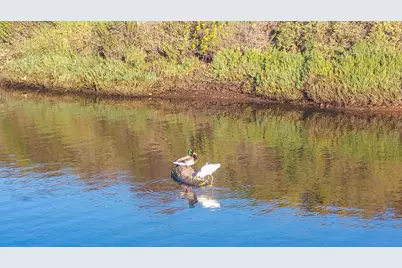 349 Ash Avenue #Spc 17, Carpinteria, CA 93013 - Photo 44