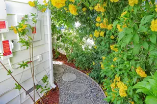 349 Ash Ave, Carpinteria, CA 93013 - Photo 10