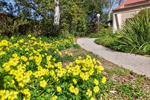 203 N Carrillo, Ojai, CA 93023 - Photo 6