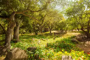 405 Toro Canyon Rd, Carpinteria, CA 93013 - Photo 70