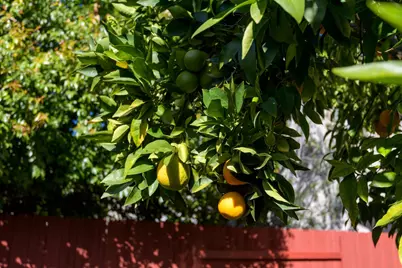 66 Valley Station Circle, Buellton, CA 93427 - Photo 20