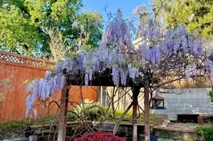 1172 Cuesta St, Santa Ynez, CA 93460 - Photo 46