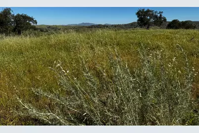 0 Alisos Canyon Road, Los Alamos, CA 93440 - Photo 38