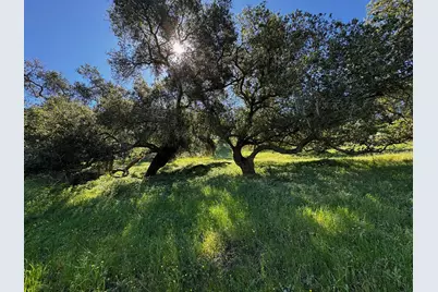 0 Alisos Canyon Road, Los Alamos, CA 93440 - Photo 8