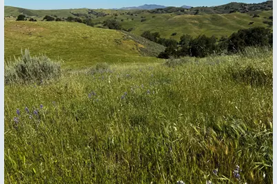 0 Alisos Canyon Road, Los Alamos, CA 93440 - Photo 42